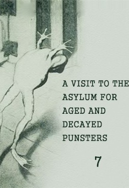 A Visit To The Asylum For Aged And Decayed Punsters